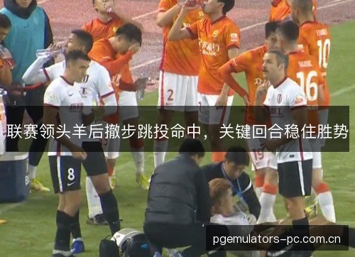 联赛领头羊后撤步跳投命中，关键回合稳住胜势